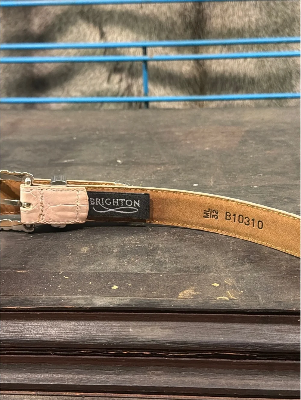 Brighton this belt